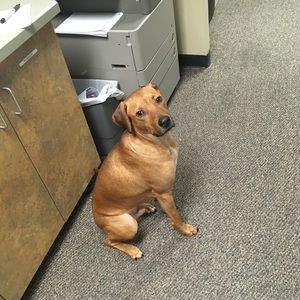 Meet your Posher, Madison